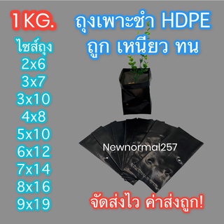 ถุงเพาะชำHDPE (1 KG.) ใช้ดีถูกเหนียวทน