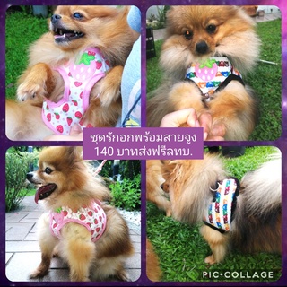 Kutiepom ชุดสายจูงแบบรัดตัวสุนัขและแมวพันธุ์เล็ก Polyester cat dog harness dog harness vest cat small dog leash and harn