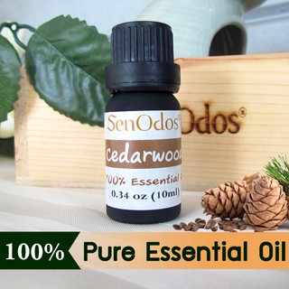 SenOdos น้ำมันหอมระเหย แท้ กลิ่นซีดาร์วูด กลิ่นหอมละมุน ช่วยผ่อนคลาย มีชีวิตชีวา  Cedarwood Essential Oil