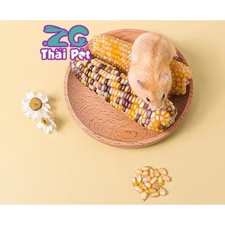 [ZC PET] ข้าวโพดจิ๋วจิ๋ว ลับฟัน สำหรับสัตว์เลี้ยงฟันแทะทุกชนิด **คละสีและขนาดนะคะ**