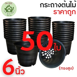 ยกมัด 50ใบ กระถาง6นิ้ว กระถางปลูกต้นไม้ 6 นิ้ว กระถางดำ 6 นิ้ว สำหรับปลูกต้นไม้