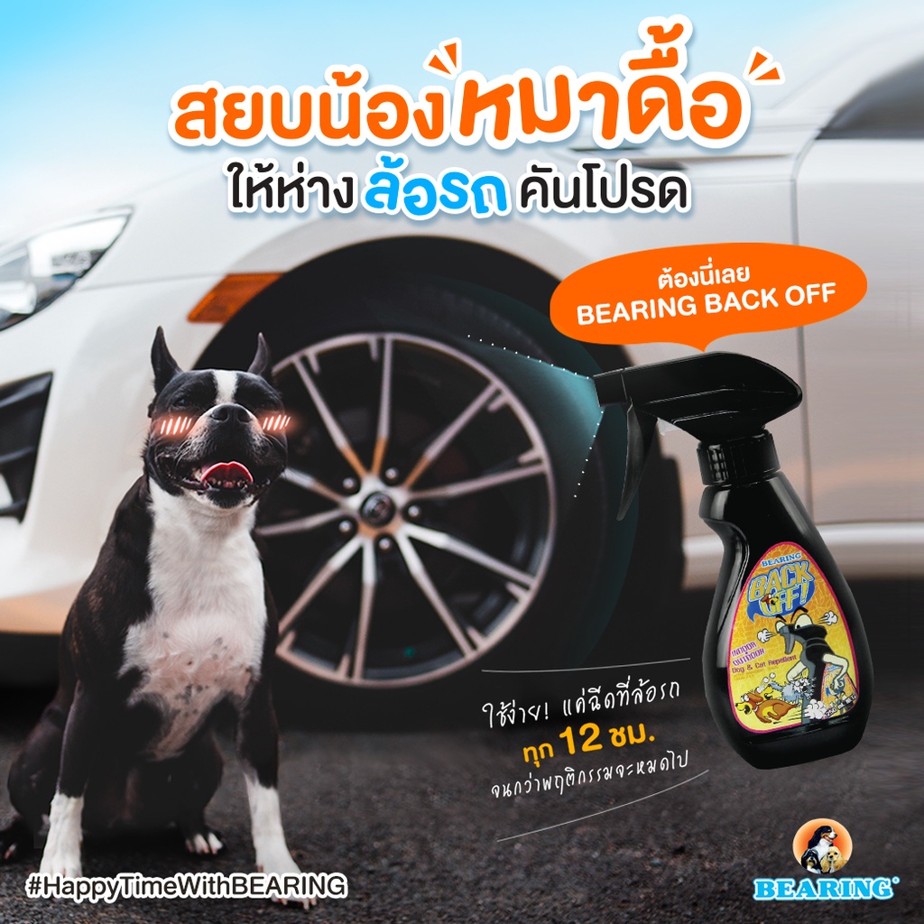 รูปภาพ 5