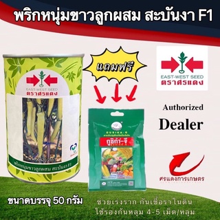 เมล็ดพันธุ์ พริกหนุ่มขาวสะบันงา 50g แถมกูซิก้าจีซองเล็ก