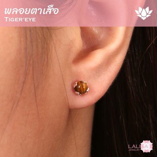 ต่างหูเงินแท้ ฝังพลอยแท้พลอยตาเสือ (Tigers Eye) ช่วยเสริมด้านสุขภาพและสมาธิ ขนาด 5 มิล นน. รวม 1 กะรัต