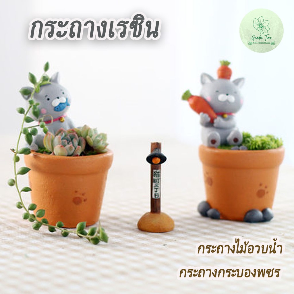 Clearance กระถางแมว กระถางแคตตัส ไม้อวบน้ำ กุหลาบหิน จัดสวน อุปกรณ์จัดสวน ต้นไม้ แมว