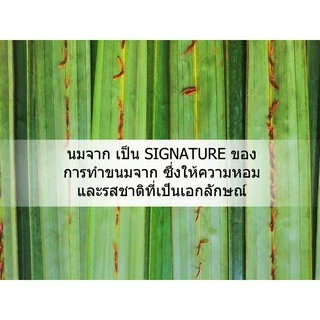 ใบจากสด organic ใบจากทำขนม ใบจากห่อขนม จากชุมชนในบาง