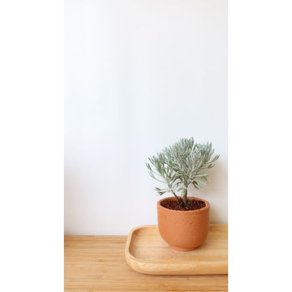 มุมมอง 4