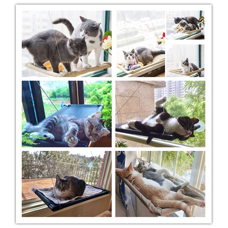 Doge&Orange พร้อมส่ง ที่นอนแมวติดกระจก ที่นอนอาบแดดชมวิวน้องแมว ติดกระจก 2รุ่น Basic สีครีม 55*35ซม. ST010 - รูปที่ 3