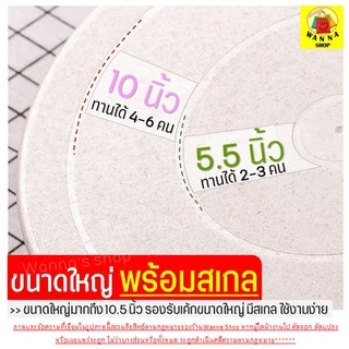 🔥ส่งฟรี🔥 แป้นหมุนเค้ก Winner โทนสีพาสเทล(มีให้เลือกซื้อถึง4สี!) จานหมุนแต่งเค้ก แป้นหมุนทำเค้ก แป้นหมุนแต่งหน้าเค้ก