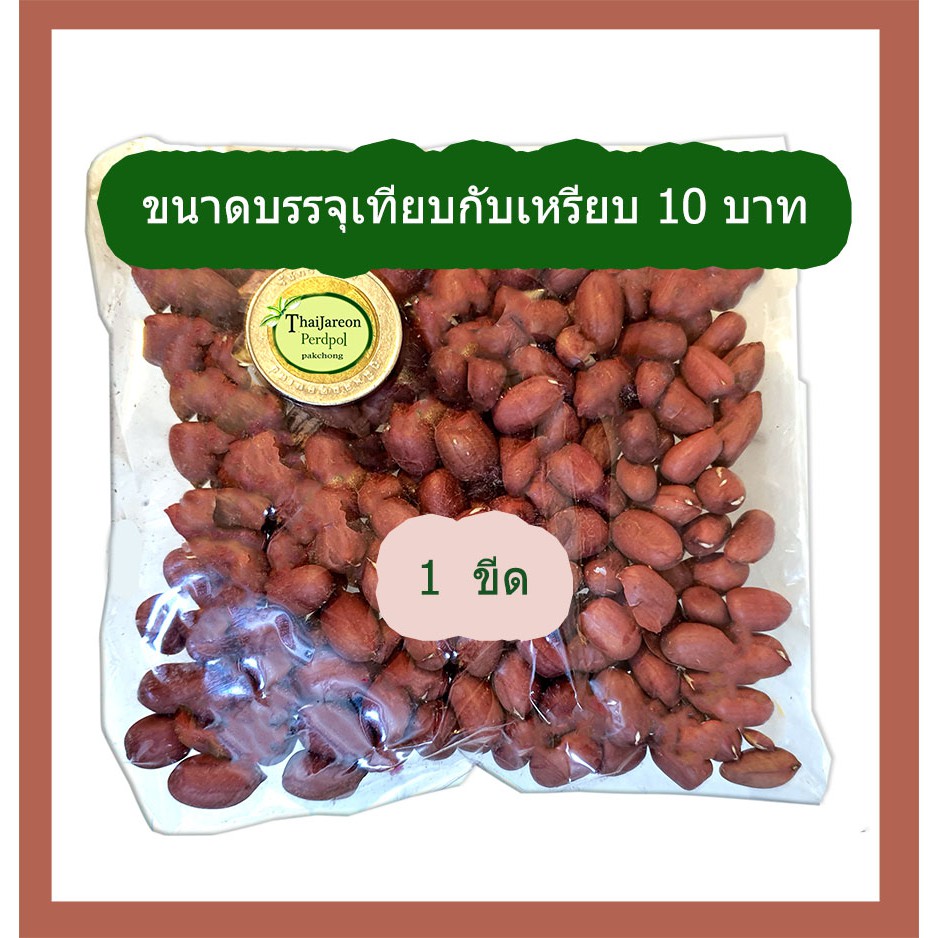 เมล็ดพันธ์ุ ถั่วลิสง เปลือกแดง พันธุ์ สข 38 รุ่น ฝักยาว คัดเมล็ด  สำหรับปลูก ขา่ยเป็นกิโลกรัม