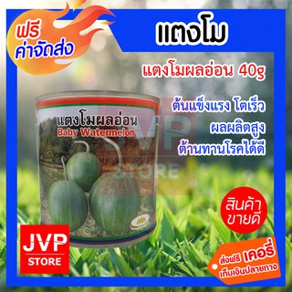 **ส่งฟรี**เมล็ดแตงโมอ่อน 40g. ตราภูเขาทอง ต้นแข็งแรง เจริญเติบโตดี ทนทานต่อโรค ให้ผลผลิตสูง