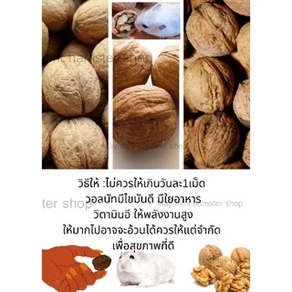 (MMPetShop)ลูกสน วอนัท ไผ่หวาน ไม้แอปเปิ้ล และ เซตลับฟัน ไว้ลับฟันหนูแฮมสเตอร์และสัตวและขนาดเล็กอื่นๆ