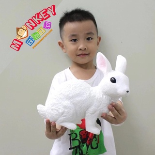 Monkey Toys - โมเดลสัตว์ กระต่าย แบบนิ่ม ขนาด 24.50 CM (จากหาดใหญ่)