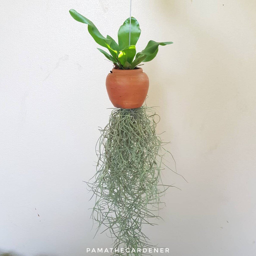 มุมมอง 2