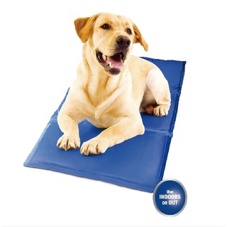 ☃🐶แผ่นที่นอนเจลเย็น (L) สำหรับสัตว์เลี้ยง  PM-1000
