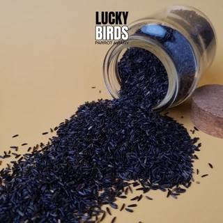 ไนเจอร์ niger seed ธัญพืชสำหรับนก นกแก้ว สัตว์เลี้ยง LUCKY BIRDS ขนาด 100g และ 250 กรัม