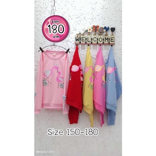 เสื้อแขนยาวเด็กโต เสื้อแขนยาวเด็กหญิง มีไซร์ 150-180