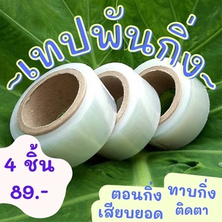 เซ็ต4ชิ้นสุดคุ้ม! เทปพันกิ่งเพื่อการเกษตร หน้ากว้าง 1 นิ้ว ยาว 50 เมตร