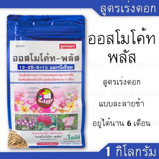 ปุ๋ยออสโมโค้ท-พลัส ขนาด 1 กิโลกรัม สูตร 12-25-6+1% แมกนีเซียม (เร่งดอก)