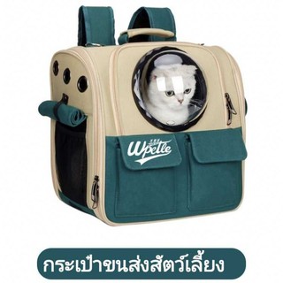 กระเป๋าแมว, ทรงอเนลโล่, พร้อมส่ง, ส่งด่วนฟรี