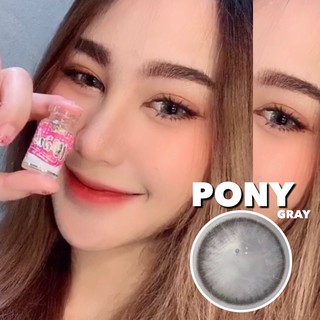 pony pola gray สีเทาตาฉ่ำวาว ตาโตบิ๊กอายส์คละแบรนด์จ้า