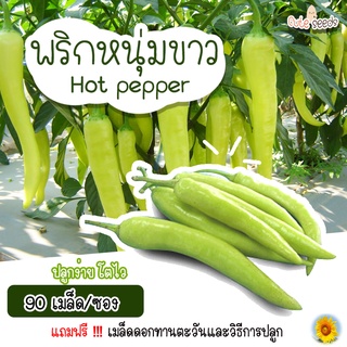 เมล็ดพันธุ์พริกหนุ่มขาว จำนวน 90 เมล็ด อัตราการงอก95% ปลูกง่าย โตไว (แถมฟรี เมล็ดผักทุกออเดอร์)