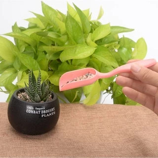 ช้อนปลูกเล็ก อุปกรณ์ปลูกกระบองเพชร ไม้อวบน้ำ กุหลาบหิน cactus&succulent