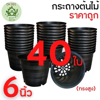 ยกชุด 40 ใบ กระถางต้นไม้ พลาสติก ดำ ขนาด 6 นิ้ว กระถางต้นไม้ 6 นิ้ว