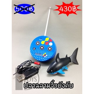 (มีโค้ดลด) ปลาฉลามจิ๋วบังคับ