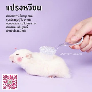 [Hamsterthailand] แปรงหวีขน ช่วยสั่งซื้อขั้นต่ำ 50 บาท รวมกับอย่างอื่นได้ แปรง แปรงขน สำหรับสัตว์เลี้ยง ทุกชนิด