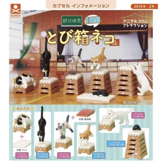 Gashapon Animal Attraction Physical Education 1st Jump Box Cat Set กาชาปอง