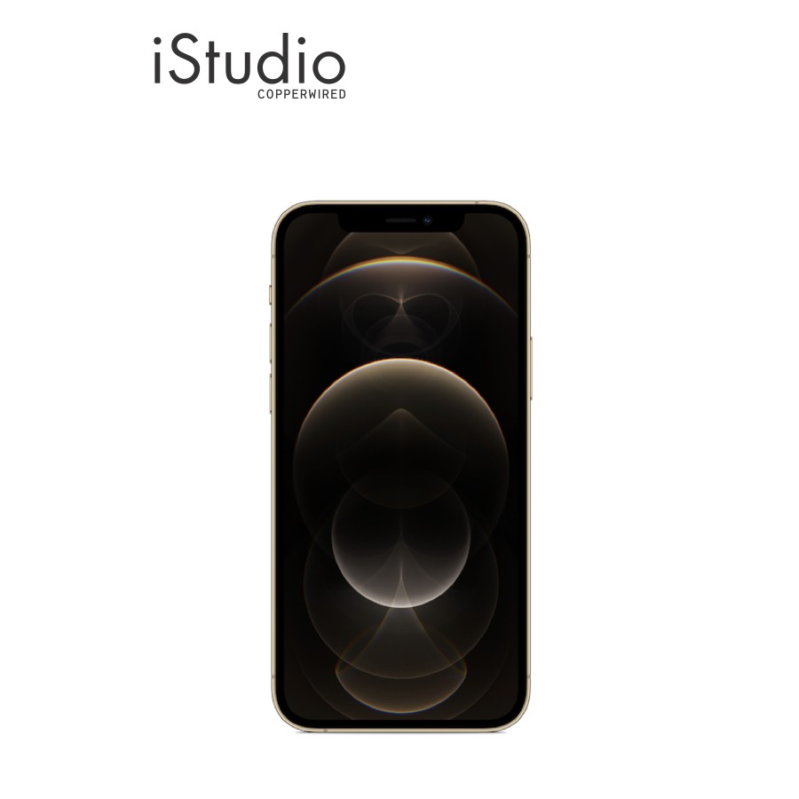 APPLE iPhone 12 Pro Max by iStudio by copperwired #8