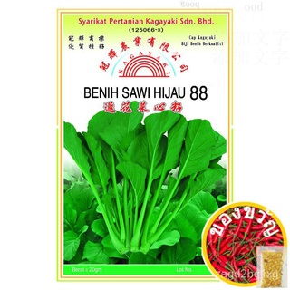 Vegetable Seed / Biji Benih Sayurสวน/มักกะโรนี/บ้านและสวน/ผักกาดหอม /มะละกอ/แม่และเด็ก/seeds/เด็ก/ผักชี/ดอกไม้/ OTW4