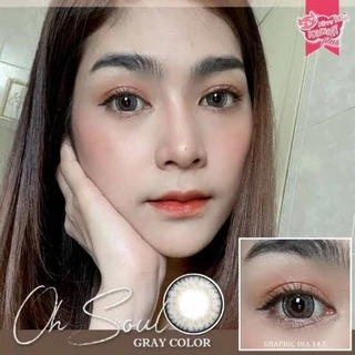 คอนแทคเลนส์ จาก กทม.บิ๊กอาย รุ่น Oh soul/Soul สีเทา/ตาล Gray/Brown มีค่าสายตา (0.00)-(-10.00)