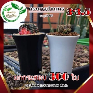 [ยกกระสอบ 300ใบ]กระถางปากแตร 3 นิ้วอย่างดี สวย ทน งานไทยไม่กรอบ