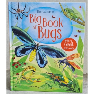 Big book of bugs ของแท้นำเข้าจากประเทศอังกฤษ