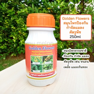 สมุนไพรป้องกันกำจัดแมลงและศัตรูพืช Golden Flower ขนาด 250 ซีซี ปลอดสารเคมี ใช้กำจัดหนอน เพลี้ย แมลงศัตรูพืช