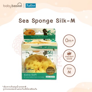 Punapena Sea Sponge Silk ฟองน้ำธรรมชาติเด็ก ขนาด M