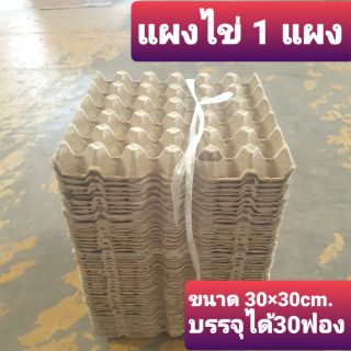 แหล่งขายและราคาแผงไข่ 1แผง ขนาด30×30 บรรจุ30ฟองอาจถูกใจคุณ