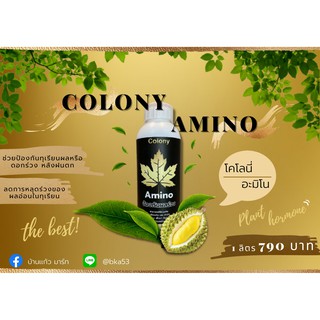 Colony Amino ป้องกันผลร่วง ลดการหลุดร่วงของผลหรือดอกในทุเรียน ช่วงหลังฝนตก ขั้วเหนียว ขั้วโต เร่งสร้างเนื้อ ขยายผลไว