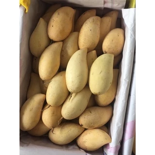 มะม่วงน้ำดอกไม้ / โชคอนันต์ / มหาชนก / แก้วขมิ้น 1กิโล หอมหวานอร่อย สด สะอาด