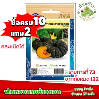 (ซื้อ10แถม2) เมล็ดพันธุ์ ฟักทอง ลายข้าวตอก Pumpkin ประมาณ 20เมล็ด เจียไต๋ เมล็ดพันธุ์พืช เมล็ดพันธุ์ผัก เมล็ดผัก เม็ดผัก