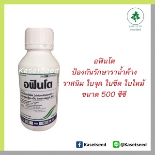 อฟินโต 500ซีซี ป้องกันรักษาราน้ำค้าง ใบจุด ราสนิม ใบไหม้ แอนแทรคโนส