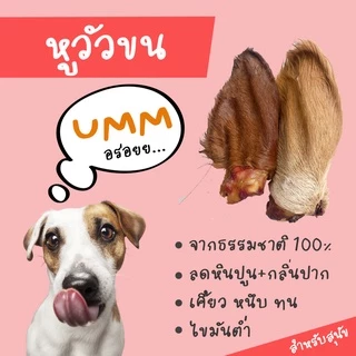 cow ears หูวัวอบแห้ง ขนมขัดฟันสุนัข แทนกระดูก ย่อยยได้ มีหลายไซส์ให้เลือก umm ขนมหมา