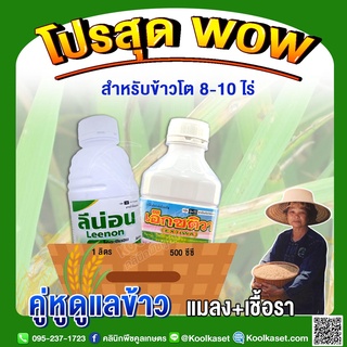 คู่หูรักษาเชื้อราและแมลงข้าวโต 8-10 ไร่ โรคใบไหม้ เมล็ดด่าง โรคกาบใบแห้ง  แตกกอดี รวงใหญ่ คูลเกษตร KK296