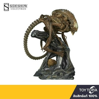 พร้อมส่ง+โค้ดส่วนลด Alien Warrior Mythos Maquette 400317 by Sideshow (ลิขสิทธิ์แท้)