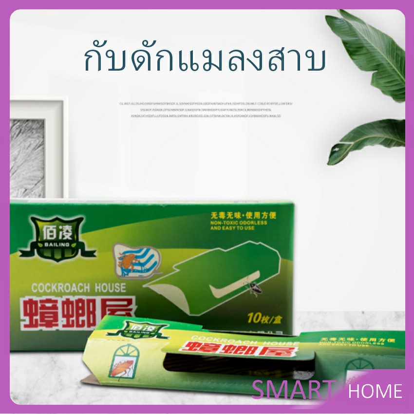 ใช้เหยื่อที่มีกลิ่นแรง ราคาต่อ กับดักแมลงสาบ เหียวหนึบ กาวดักแมลงสาบ 1 ชิ้น Cockroach trap