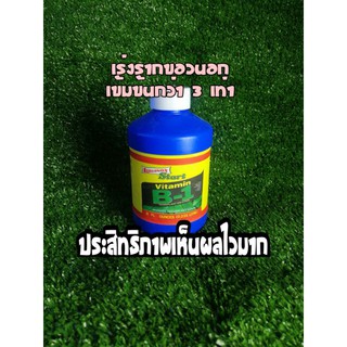 B1 น้ำนยาเร่งราก ของนอก 235 470cc