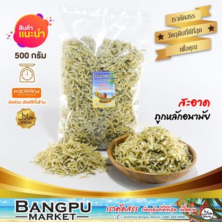 ปลาข้าวสาร เล็ก ปลาข้าวสารแห้ง ปลาลูกเบร่ ไม่เค็ม (อาหารทะเลแห้ง) ขนาด 500 g.(ปลาตัวเล็กแห้ง,small anchovies,dry fish)