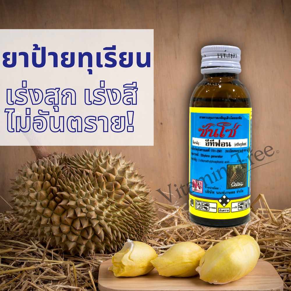 ยาป้ายทุเรียน น้ำใสไม่มีสี ยาเร่งสุก เร่งสี ไม่เป็นอันตราย  หรือกระตุ้นการออกหน่อสัปะรด ซันโซ่ (อีทีฟอน) 100ซีซี - Vitamin_Tree -  Thaipick